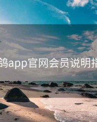 电鸽app官网会员说明指南