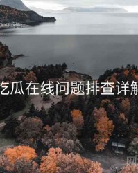 吃瓜在线问题排查详解