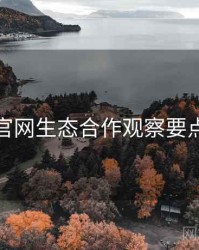 海角官网生态合作观察要点整理