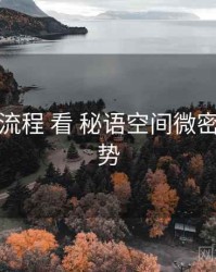 从 注册流程 看 秘语空间微密圈 的优势
