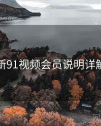 新91视频会员说明详解