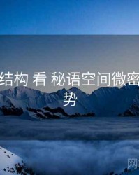 从 收费结构 看 秘语空间微密圈 的优势