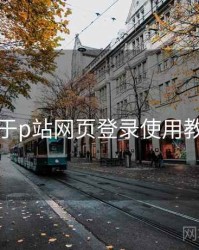关于p站网页登录使用教程