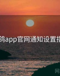 电鸽app官网通知设置指南