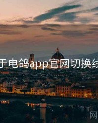 关于电鸽app官网切换线路