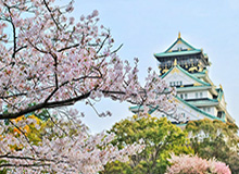 趣岛常见问题要点