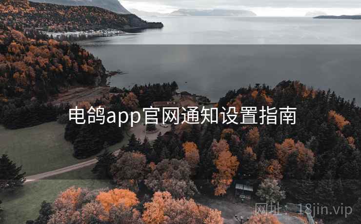 电鸽app官网通知设置指南
