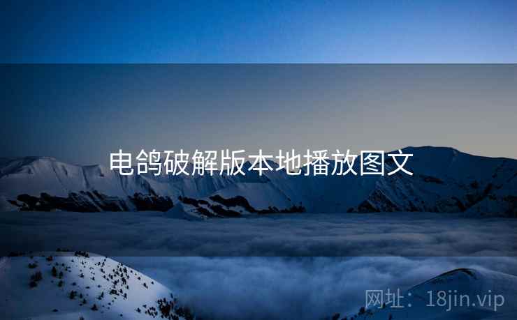 电鸽破解版本地播放图文