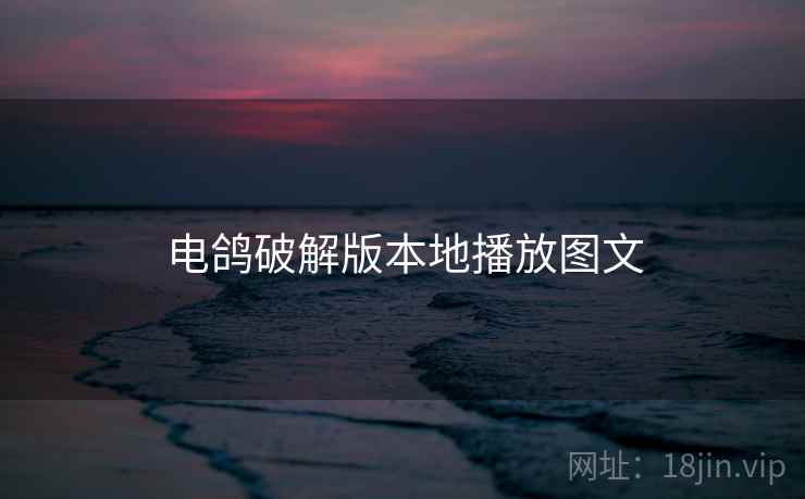 电鸽破解版本地播放图文