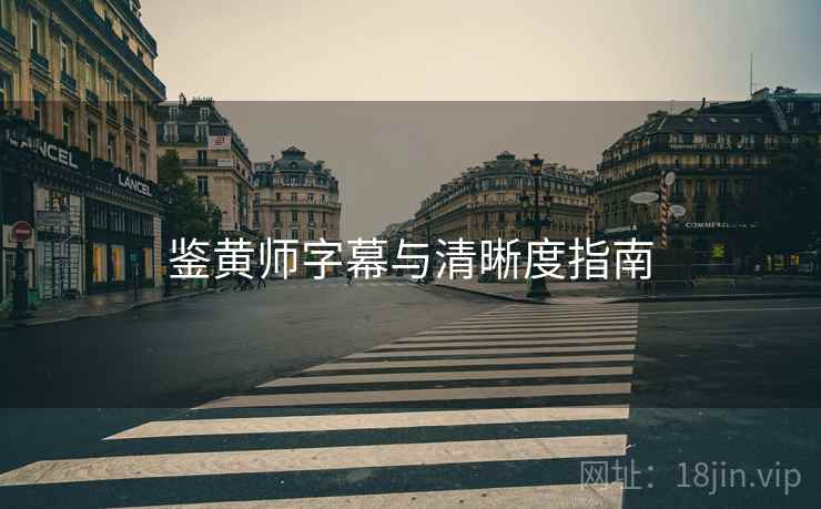 鉴黄师字幕与清晰度指南