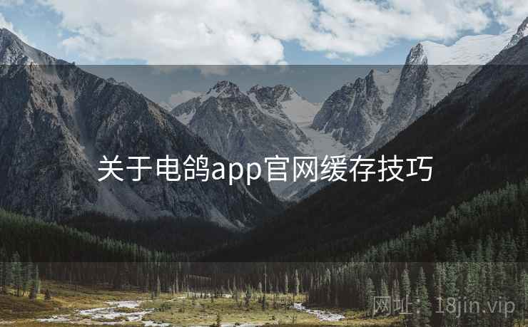关于电鸽app官网缓存技巧