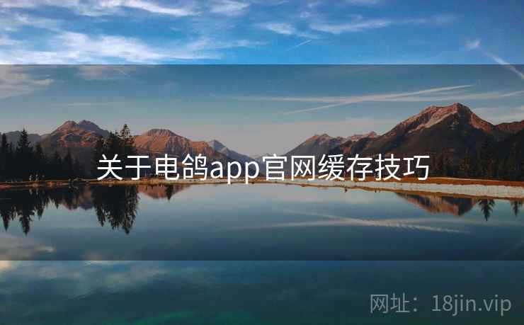 关于电鸽app官网缓存技巧