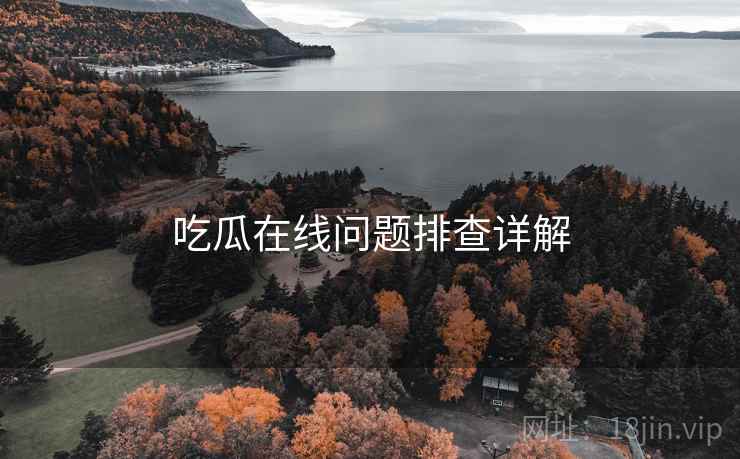 吃瓜在线问题排查详解