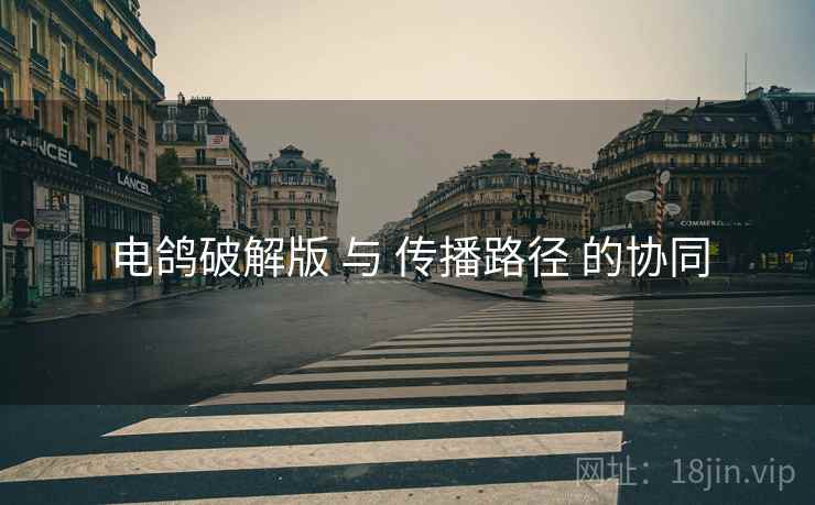 电鸽破解版 与 传播路径 的协同