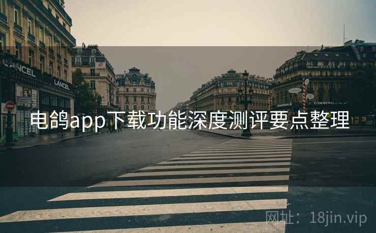 电鸽app下载功能深度测评要点整理