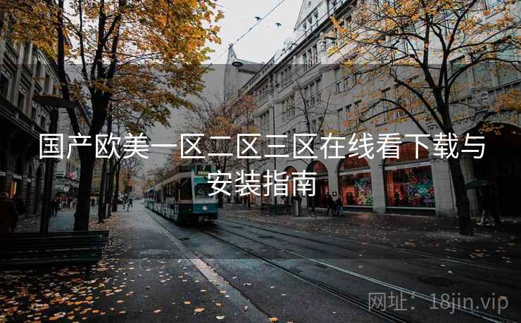 国产欧美一区二区三区在线看下载与安装指南