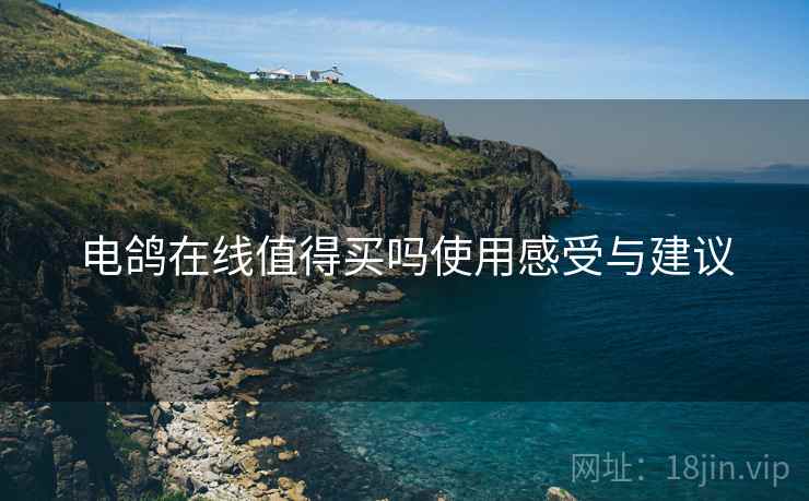 电鸽在线值得买吗使用感受与建议