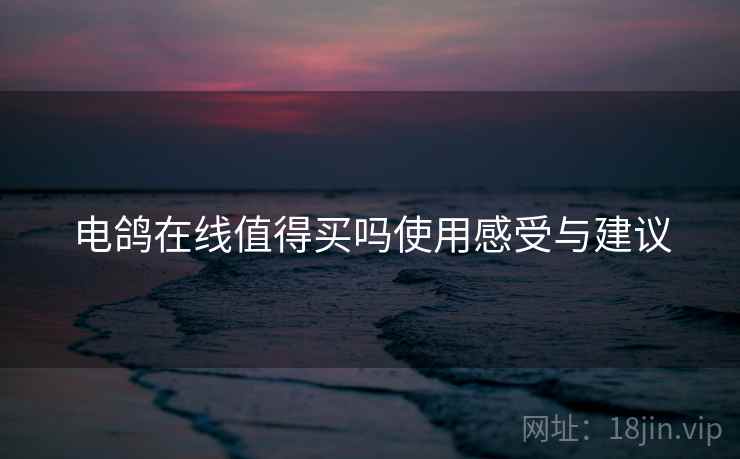 电鸽在线值得买吗使用感受与建议