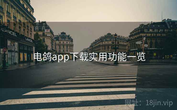 电鸽app下载实用功能一览
