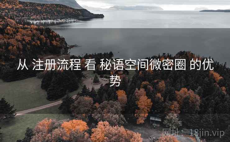 从 注册流程 看 秘语空间微密圈 的优势