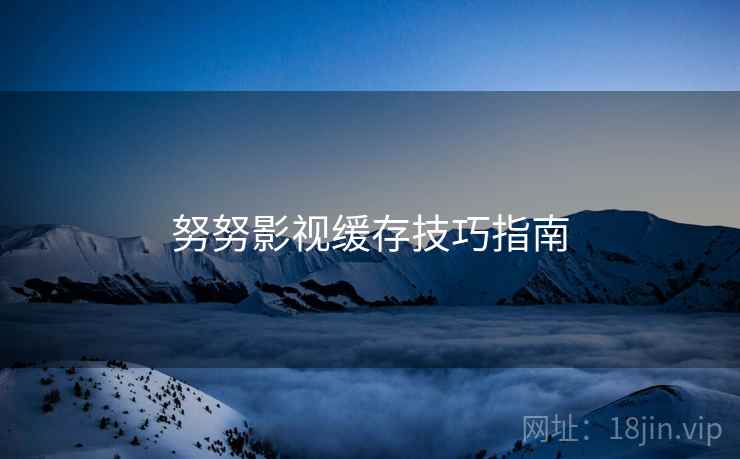 努努影视缓存技巧指南