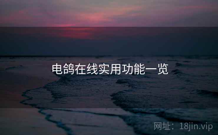 电鸽在线实用功能一览