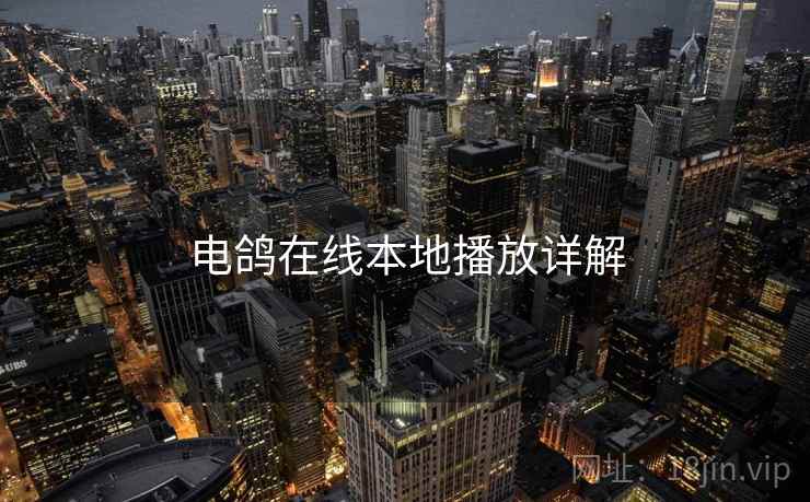 电鸽在线本地播放详解