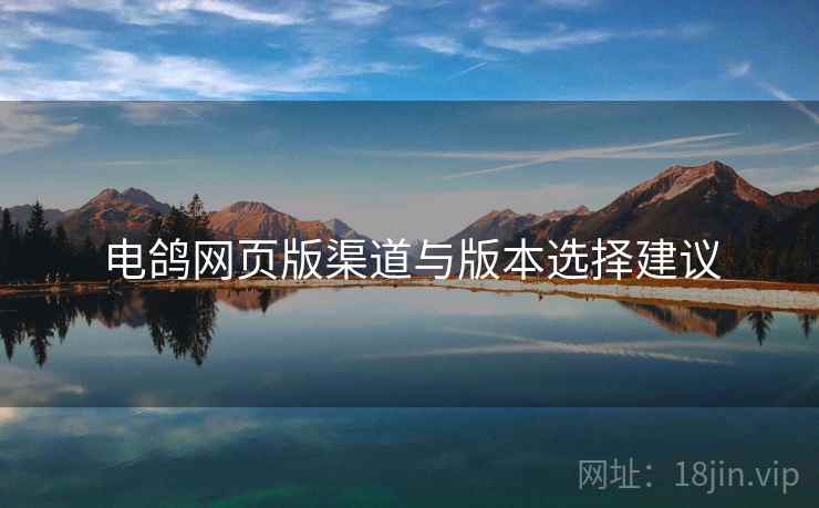 电鸽网页版渠道与版本选择建议