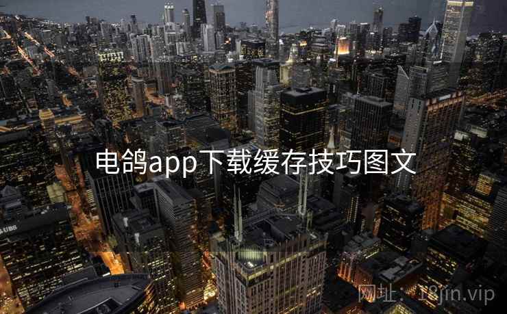 电鸽app下载缓存技巧图文