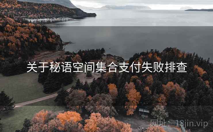 关于秘语空间集合支付失败排查