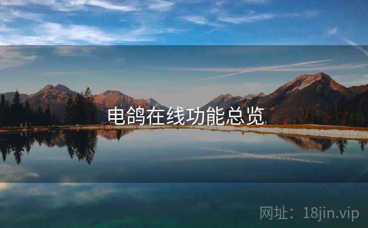 电鸽在线功能总览