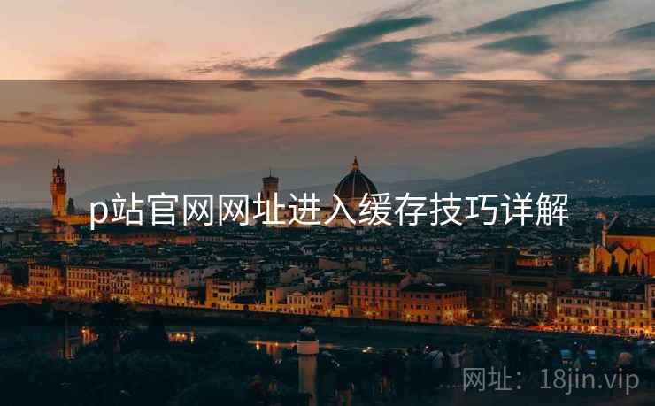 p站官网网址进入缓存技巧详解