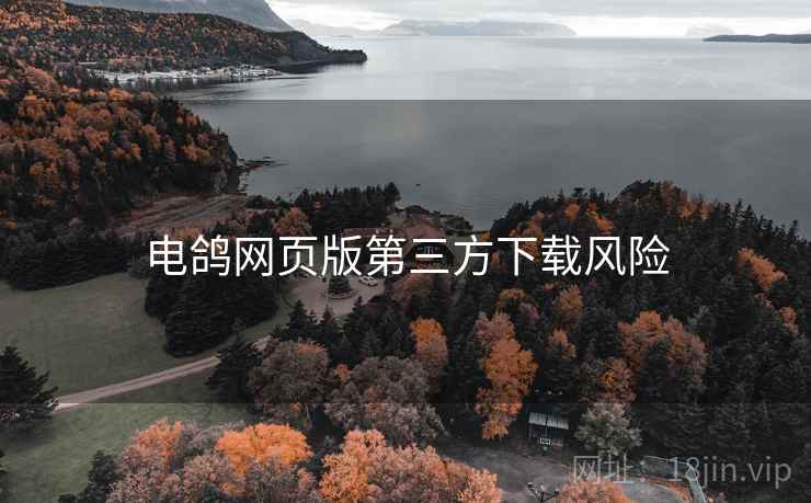 电鸽网页版第三方下载风险