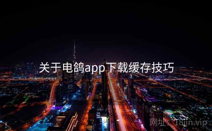 关于电鸽app下载缓存技巧