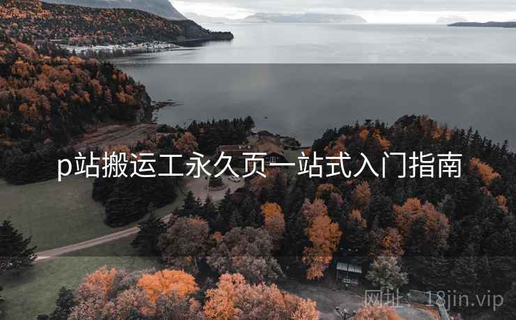 p站搬运工永久页一站式入门指南