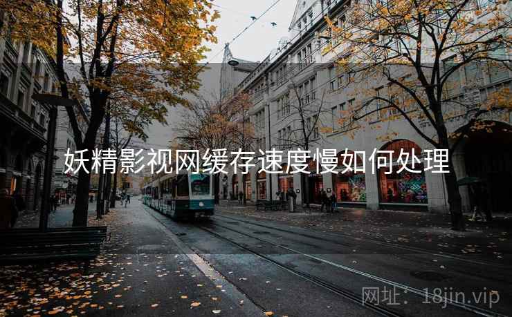 妖精影视网缓存速度慢如何处理