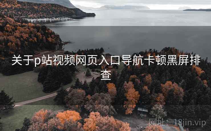 关于p站视频网页入口导航卡顿黑屏排查