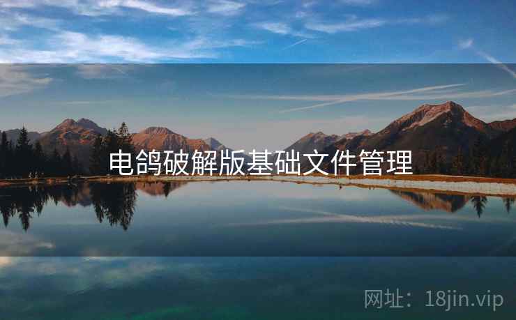 电鸽破解版基础文件管理
